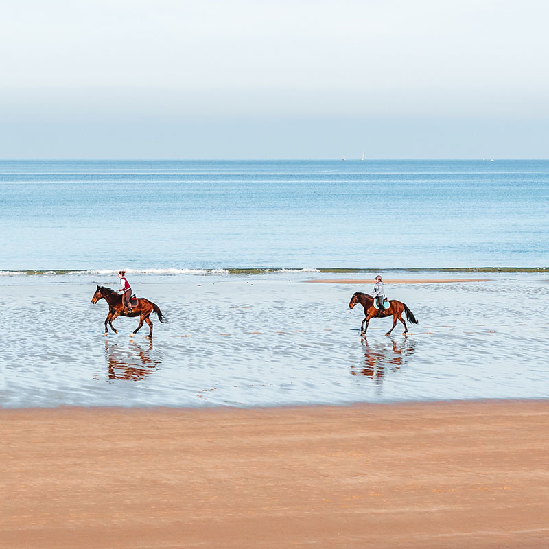 Paseo a caballo por la playa